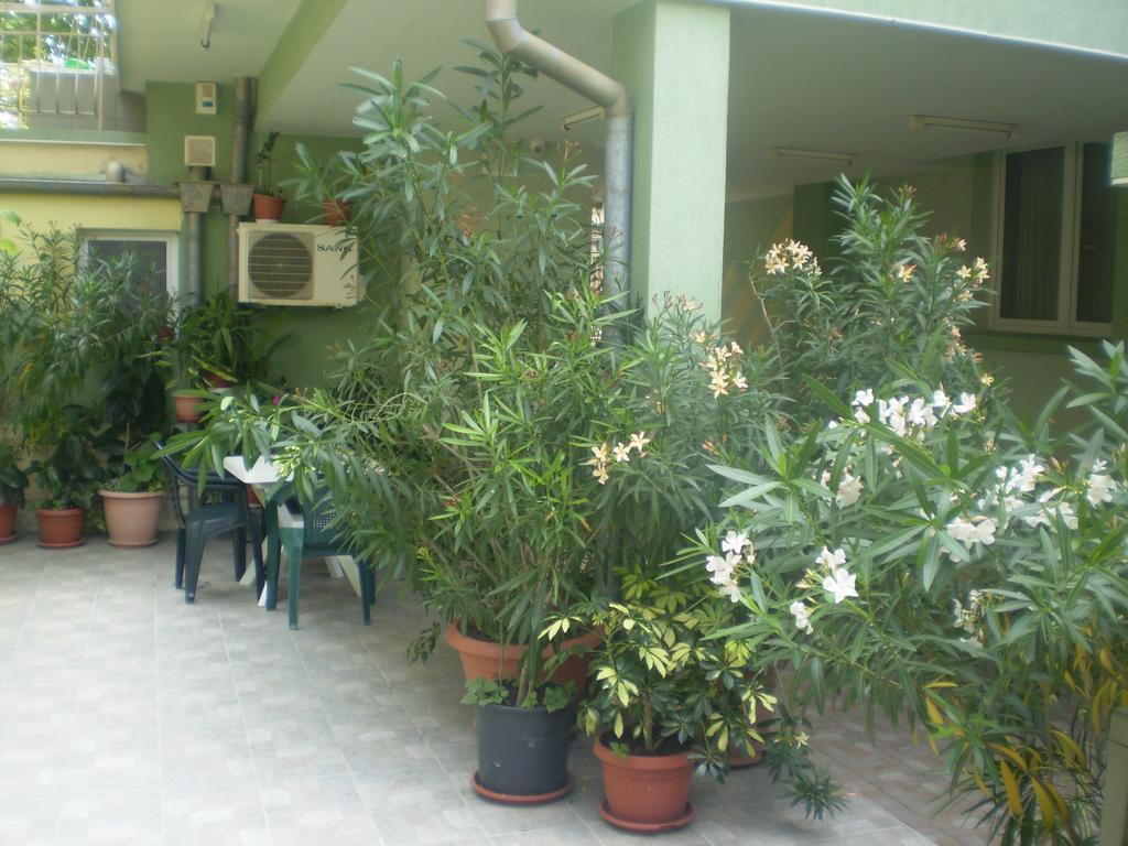 Guest House ,, Ekaterina" Nesebar Exteriör bild