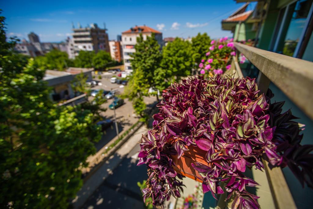 Guest House ,, Ekaterina" Nesebar Exteriör bild